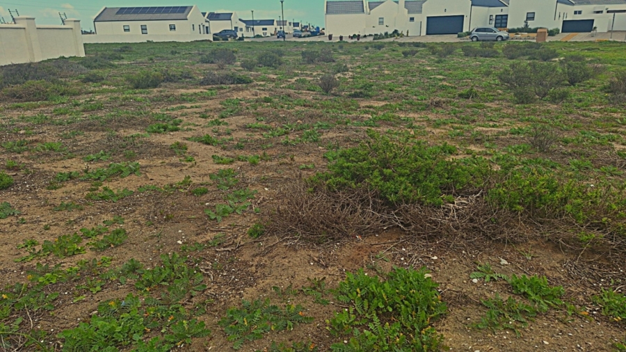 0 Bedroom Property for Sale in Atlantic Sands Private Estate Western Cape